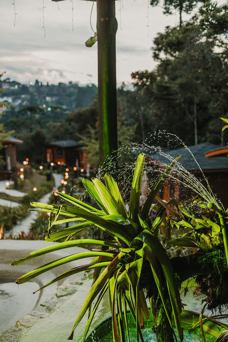 Cabana 1 - hidromassagem, lareira elétrica e vista