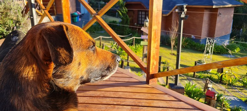 Chalé Europeu com lareira ecológica e hidromassagem - Master